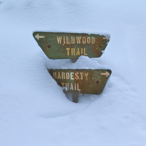 Fundraising Page: Sean Harrasser